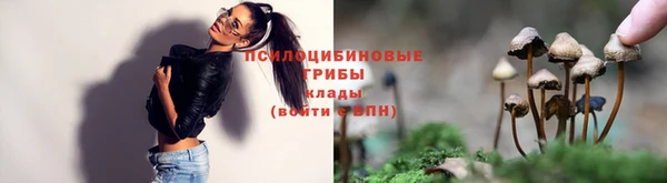 метадон Бородино