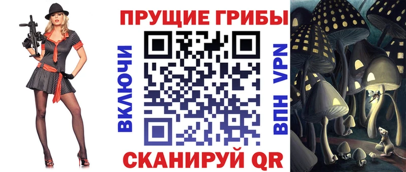 Купить  Губаха  Псилоцибиновые грибы ЛСД 