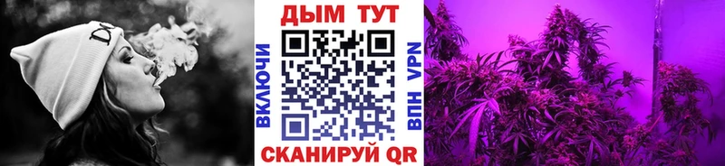 Купить где  Губаха  Марихуана Ganja 